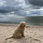 Сasa de vacaciones Geuzenhoeve Op De Munnickaij