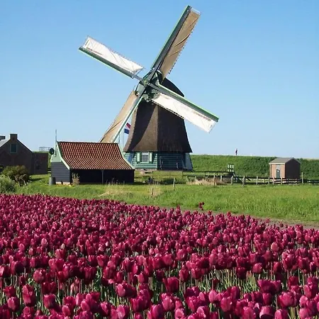 Geuzenhoeve Op De Munnickaij Hébergement de vacances Schellinkhout