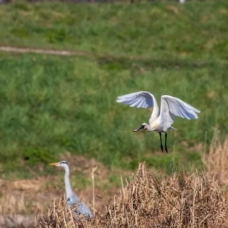 Geuzenhoeve Op De Munnickaij *