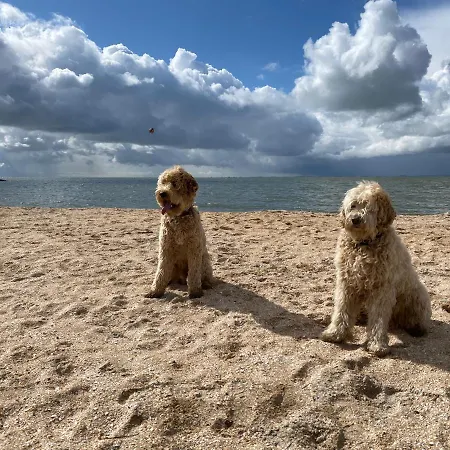 Geuzenhoeve Op De Munnickaij Сasa de vacaciones Schellinkhout
