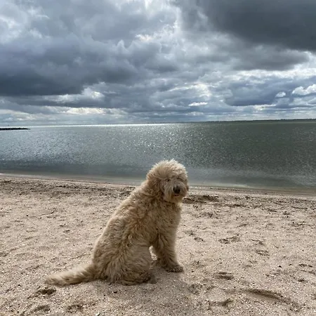 Сasa de vacaciones Geuzenhoeve Op De Munnickaij